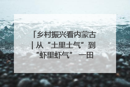 乡村振兴看内蒙古｜从“土里土气”到“虾里虾气” 一田双收模式火出圈