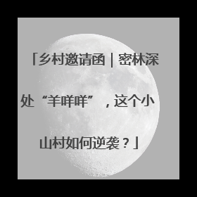 乡村邀请函｜密林深处“羊咩咩”，这个小山村如何逆袭？