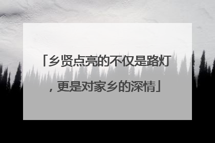 乡贤点亮的不仅是路灯，更是对家乡的深情