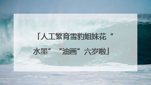 人工繁育雪豹姐妹花“水墨”“油画”六岁啦