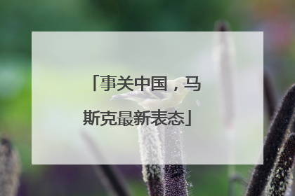 事关中国，马斯克最新表态