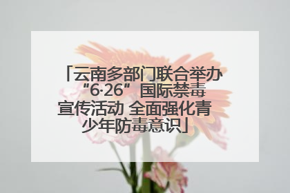 云南多部门联合举办“6·26”国际禁毒宣传活动 全面强化青少年防毒意识