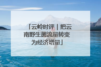云岭时评｜把云南野生菌流量转变为经济增量