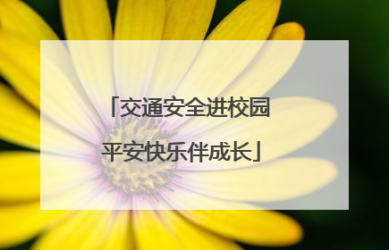 交通安全进校园 平安快乐伴成长