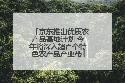 京东推出优质农产品基地计划 今年将深入超百个特色农产品产业带