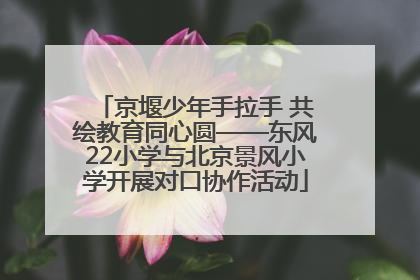 京堰少年手拉手 共绘教育同心圆——东风22小学与北京景风小学开展对口协作活动