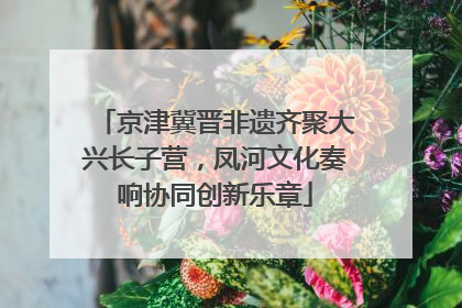 京津冀晋非遗齐聚大兴长子营，凤河文化奏响协同创新乐章