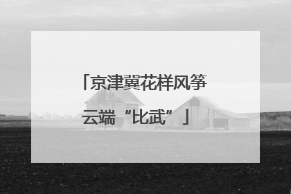 京津冀花样风筝云端“比武”