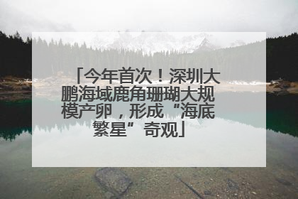今年首次！深圳大鹏海域鹿角珊瑚大规模产卵，形成“海底繁星”奇观