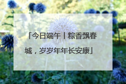 今日端午丨粽香飘春城，岁岁年年长安康