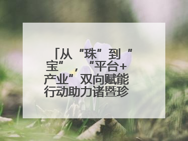 从“珠”到“宝”，“平台+产业”双向赋能行动助力诸暨珍珠升级蜕变