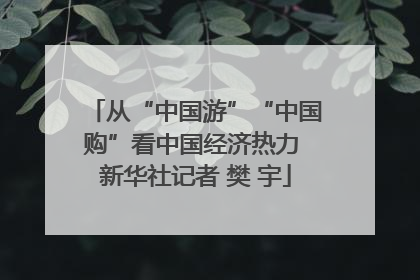 从“中国游”“中国购”看中国经济热力 新华社记者 樊 宇
