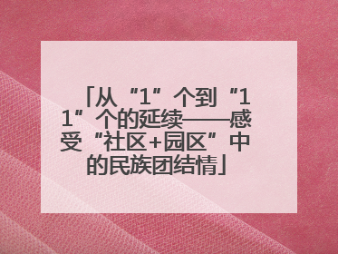 从“1”个到“11”个的延续——感受“社区+园区”中的民族团结情