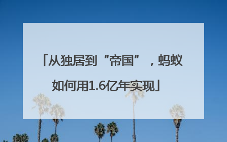 从独居到“帝国”，蚂蚁如何用1.6亿年实现