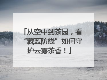 从空中到茶园，看“藏蓝防线”如何守护云雾茶香！