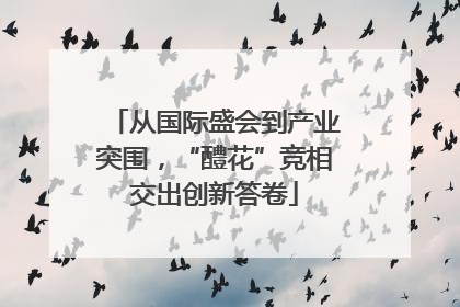 从国际盛会到产业突围，“醴花”竞相交出创新答卷