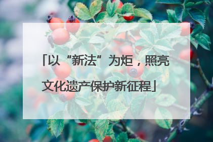 以“新法”为炬，照亮文化遗产保护新征程