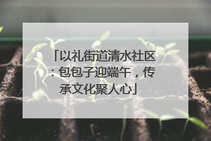 以礼街道清水社区：包包子迎端午，传承文化聚人心