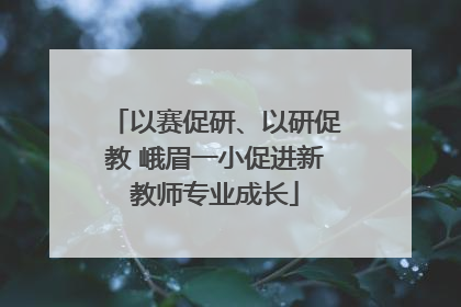 以赛促研、以研促教 峨眉一小促进新教师专业成长