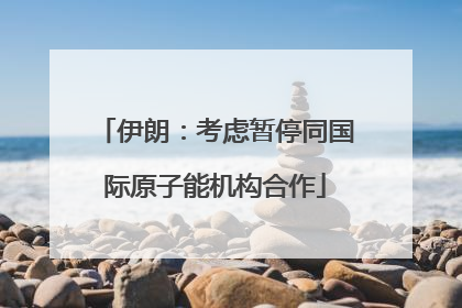 伊朗：考虑暂停同国际原子能机构合作