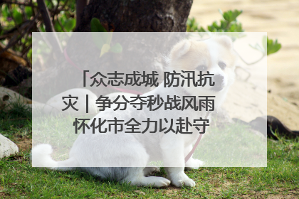 众志成城 防汛抗灾｜争分夺秒战风雨 怀化市全力以赴守护人民群众安全