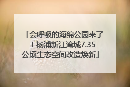 会呼吸的海绵公园来了！杨浦新江湾城7.35公顷生态空间改造焕新