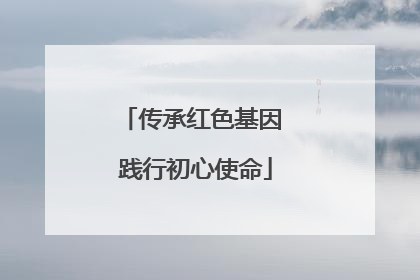 传承红色基因 践行初心使命