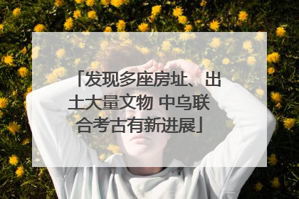 发现多座房址、出土大量文物 中乌联合考古有新进展
