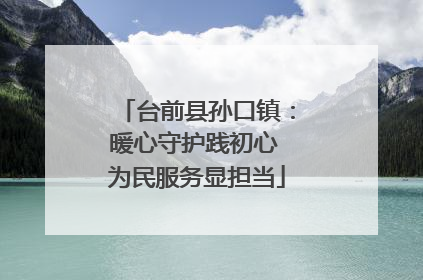 台前县孙口镇：暖心守护践初心 为民服务显担当