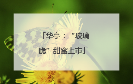 华亭：“玻璃脆”甜蜜上市