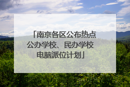 南京各区公布热点公办学校、民办学校电脑派位计划