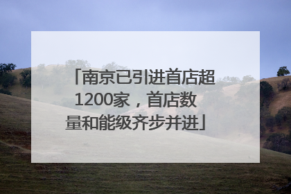 南京已引进首店超1200家，首店数量和能级齐步并进