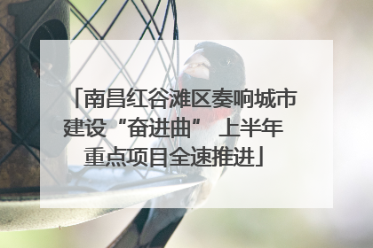 南昌红谷滩区奏响城市建设“奋进曲” 上半年重点项目全速推进