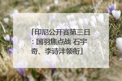 印尼公开赛第三日：国羽焦点战 石宇奇、李诗沣领衔