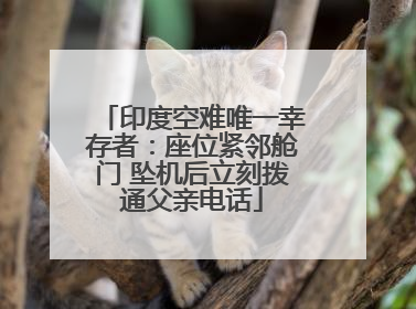印度空难唯一幸存者：座位紧邻舱门 坠机后立刻拨通父亲电话