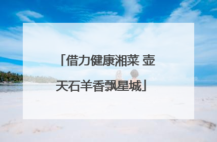 借力健康湘菜 壶天石羊香飘星城