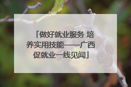 做好就业服务 培养实用技能——广西促就业一线见闻