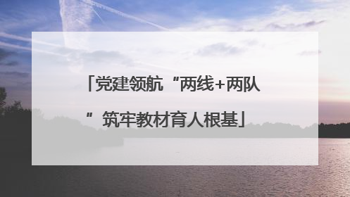 党建领航“两线+两队”筑牢教材育人根基