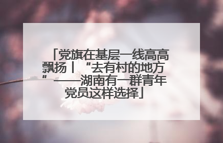 党旗在基层一线高高飘扬丨“去有村的地方”——湖南有一群青年党员这样选择