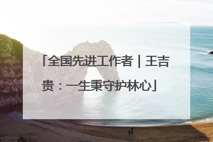 全国先进工作者｜王吉贵：一生秉守护林心