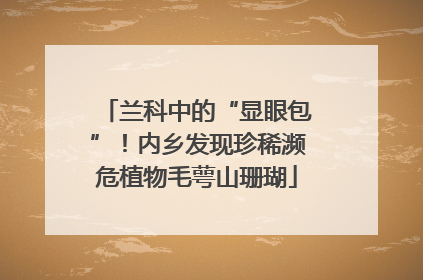 兰科中的“显眼包”！内乡发现珍稀濒危植物毛萼山珊瑚
