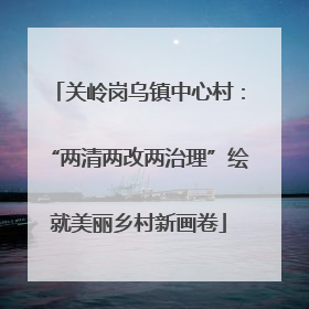 关岭岗乌镇中心村：“两清两改两治理”绘就美丽乡村新画卷