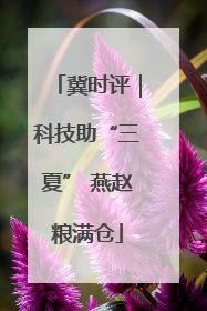 冀时评｜科技助“三夏” 燕赵粮满仓