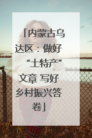 内蒙古乌达区：做好“土特产”文章 写好乡村振兴答卷