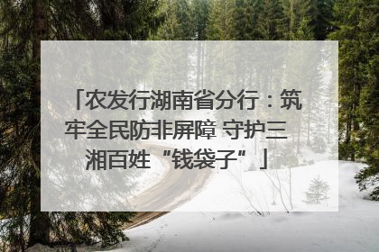 农发行湖南省分行：筑牢全民防非屏障 守护三湘百姓“钱袋子”