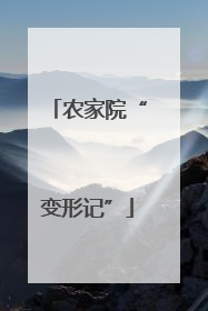 农家院“变形记”