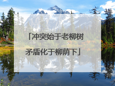 冲突始于老柳树 矛盾化于柳荫下