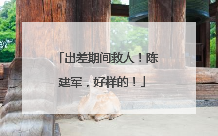 出差期间救人！陈建军，好样的！
