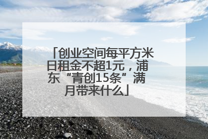 创业空间每平方米日租金不超1元，浦东“青创15条”满月带来什么