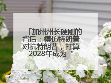 加州州长硬刚的背后：模仿特朗普对抗特朗普，打算2028年成为“特朗普”